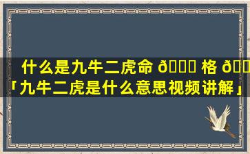 什么是九牛二虎命 🐋 格 🐦 「九牛二虎是什么意思视频讲解」